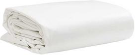 Tentas, baltos spalvos, 5x8m, 650g/m²