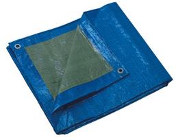 Apsauginis tentas, mėlynas 8X12M - 240 Gsm