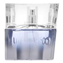 Emanuel Ungaro Man EDT 30 ml
