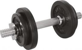 Ketaus hantelis TUNTURI, 10kg