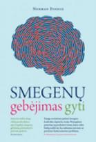 normanto - Smegenų gebėjimas gyti - 1 nuotrauka