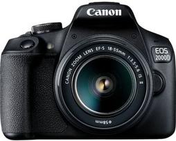 50mm 8 canon - Canon EOS 2000D + 18-55mm IS II + 50mm f/1.8 STM - 14 nuotrauka