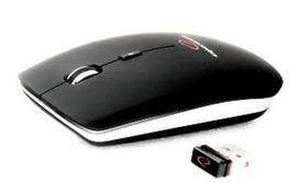 Esperanza EM120 Black (Juoda)