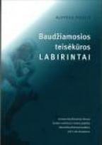 Baudžiamosios teisėkūros labirintai