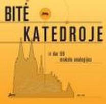 Bitė katedroje ir dar 99 mokslo analogijos