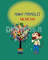 Mano pirmieji skaičiai (2017)