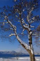 xf 4 - Fujifilm XF 10-24mm f/4 R OIS - 8 nuotrauka
