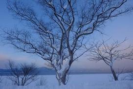 xf 4 - Fujifilm XF 10-24mm f/4 R OIS - 9 nuotrauka