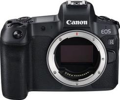 visinga - Canon EOS R body - 2 nuotrauka