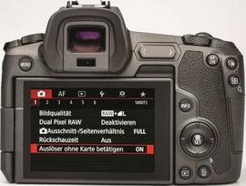 visinga - Canon EOS R body - 6 nuotrauka