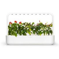 daigykla - Click&Grow Smart Garden 9, Baltas - 5 nuotrauka