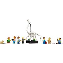 legajos - LEGO Icons Natural History Museum 10326 - 4 nuotrauka