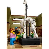 legajos - LEGO Icons Natural History Museum 10326 - 11 nuotrauka