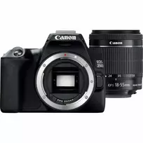 canon r100 - Canon EOS-250D kit 18-55 DC III - 6 nuotrauka