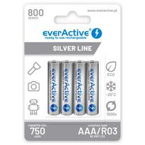 baterijas kraunamos - Elementai everActive EVHRL03-800 - 2 nuotrauka