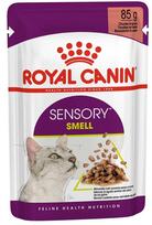 Šlapias kačių maistas Royal Canin Sensory, 0,085 kg