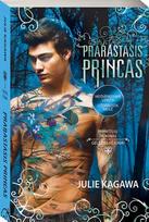 Prarastasis princas (serijos "Geležies fėjūnai" 5-oji knyga)