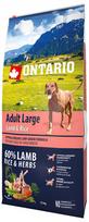 Sausas maistas šunims Ontario Adult Large Lamb & Rice, 12 kg