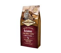 Carnilove Reindeer Adult Cat Energy&Outdoor begrūdis, sausas maistas katėms, 6 kg