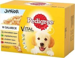 Šlapias šunų maistas Pedigree Junior, 1.2 kg, 12 vnt.