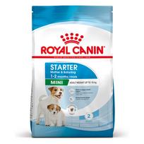 ROYAL CANIN Mini Starter Mother & Babydog 8kg sausas maistas nėščioms ir žindančioms kalėms ir šuniukams, nuo 4 iki 8 savaičių, mažoms veislėms