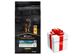 PRO PLAN Healthy Start Large Robust Šuniukų maistas su vištiena 12kg + STAIGMENA ŠUNUI