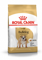 ROYAL CANIN Bulldog Adult 12kg Šunų maistas + STAIGMENA ŠUNUI