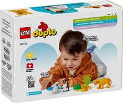 senukai lego - 10442 LEGO® DUPLO Laukinių gyvūnų šeima: pingvinai ir liūtai - 2 nuotrauka
