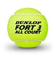 tuba kamuoliukams - Teniso kamuoliukai Dunlop FORT ALL COURT TS 4-tin - 2 nuotrauka