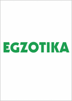 ziemines padangos r14 - Ovation WV-06 Ecovision 185 R14C 102/100R , galimos spygliuotos - 1 nuotrauka