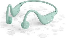 Philips TAK4607GR/00
