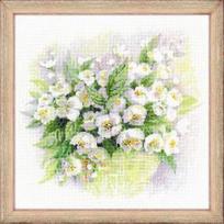 RIOLIS – Create It Yourself – Siuvinėjimo rinkinys „Jazminai“ 1467 (30x30 cm)