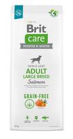 brit care 12kg - Brit Care Grain-free Adult Large Breed Salmon 12 kg - 2 nuotrauka