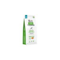 brit care 12kg - Brit Care Grain-free Adult Large Breed Salmon 12 kg - 3 nuotrauka