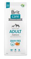 sunu maistas - Brit Care Grain-free Adult Salmon 12 kg - 2 nuotrauka