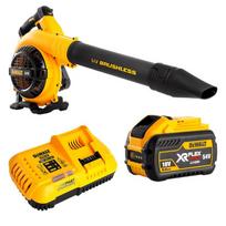 dewalt lapu pustuvai - DeWalt DCM572X1-QW - 1 nuotrauka