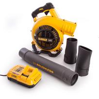 dewalt lapu pustuvai - DeWalt DCM572X1-QW - 2 nuotrauka