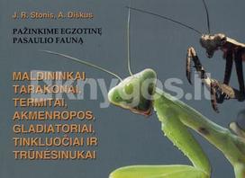 arunas diskus, jonas rimantas stonis - Maldininkai, tarakonai, termitai, akmenropos, gladiatoriai, tinkluočiai ir trūnėsinukai - 2 nuotrauka