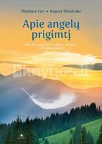 matthew fox, rupert sheldrake - Apie angelų prigimtį - 2 nuotrauka