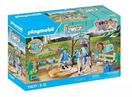 arkliai - Playmobil Horses Of Waterfall Modern Riding School 71637, plastikas - 1 nuotrauka