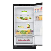 lg juoda saldytuvas - LG GBV3100EEP - 10 nuotrauka