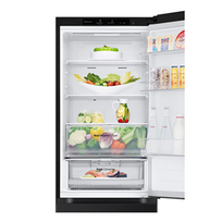 lg juoda saldytuvas - LG GBV3100EEP - 11 nuotrauka