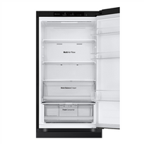 lg juoda saldytuvas - LG GBV3100EEP - 12 nuotrauka