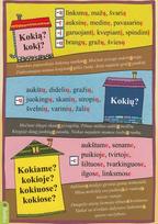 Kokią? Kokį? (A 5)