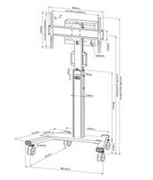 wheel stand - NEOMOUNTS BY NEWSTAR SELECT MOBILE DISPLAY FLOOR STAND (32-75") 10 CM. WHEELS - 2 nuotrauka
