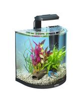 30l akvariuma - Tetra AquaArt Explorer Line 30 l Goldfish - 2 nuotrauka
