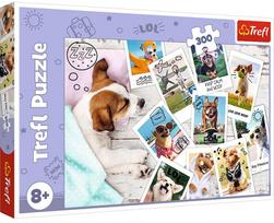Trefl Dogs Holiday Pictures 30031, 60 cm x 40 cm, 300 dal.