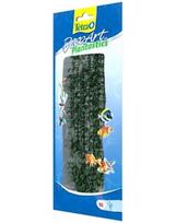tetra akvariumas - Tetra DecoArt Hygropila L - 2 nuotrauka
