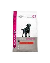 vistiena - Eukanuba Adult Labrador Retriever 12kg - 2 nuotrauka