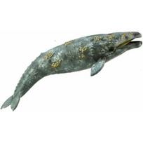 COLLECTA pilkasis banginis, 88836